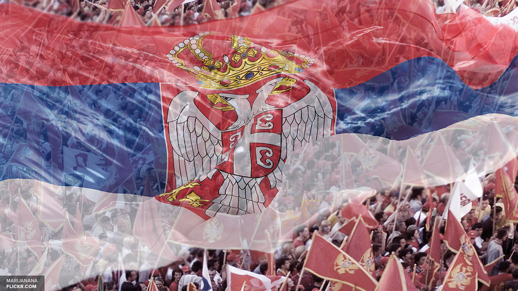 Выборы в Сербии: Избирком утвердил победу Вучича Выборы в Сербии: Избирком утвердил победу Вучича
