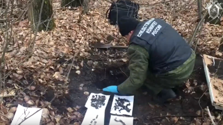 Жителей Кузбасса и Приамурья будут судить за убийство