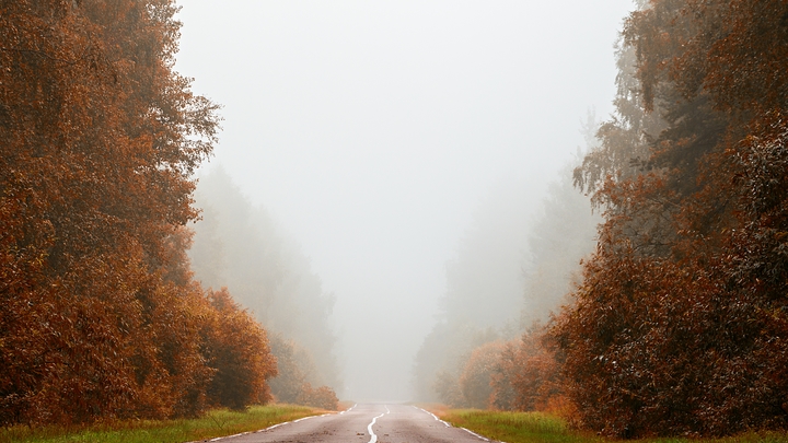 Ленобласти пророчат сильные заморозки и густые туманы