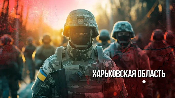 Последний шанс станет последним пристанищем: Полковник сообщил о катакомбах времён Екатерины Великой под Харьковом