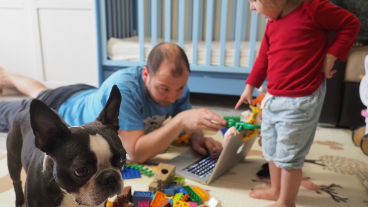 УдАлёнка по-русски: Самые популярные мемы про работу из дома в России