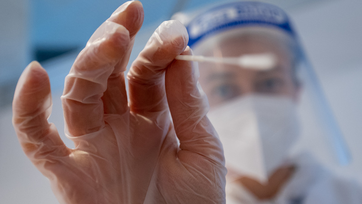 Куда жаловаться на тесты? В России заработала специальная горячая линия