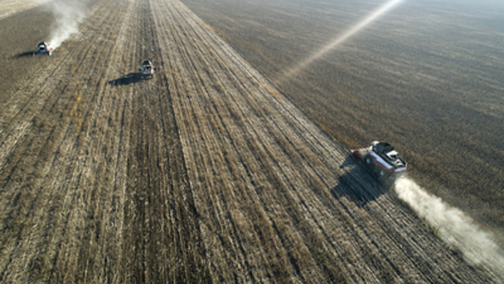 Чиновники предложили фермерам Подмосковные 10 гектаров