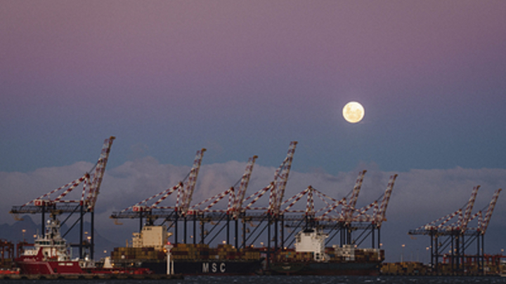 ЧП на борту научного судна из России: Судовой повар найден мёртвым