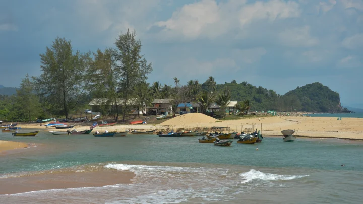 Самое ядовитое существо на планете убило русского мальчика