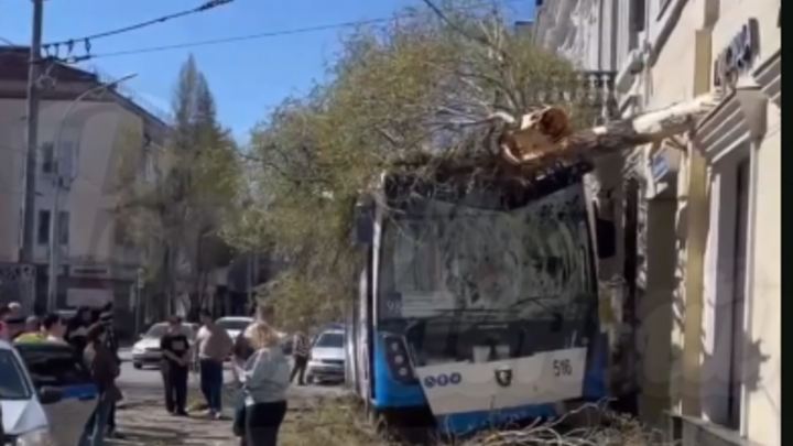 В центре Ростова автобус выехал на тротуар и врезался в дерево. Есть пострадавшие