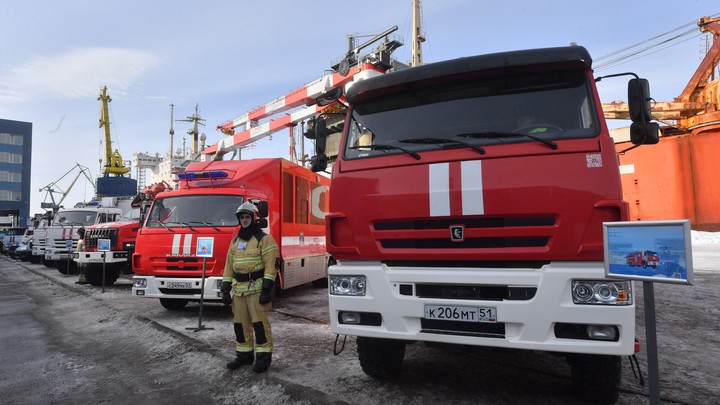 В Архангельске на пожаре спасали жизнь свинки весом около 100 кг: Милка еле пережила задымление