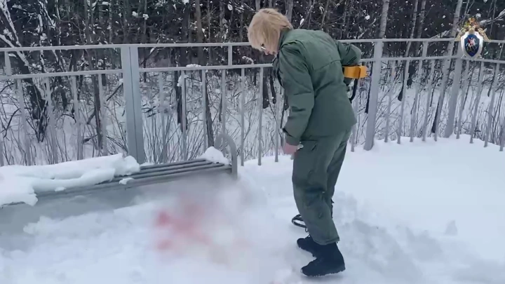 Следком опубликовал видео с места убийства мальчика в Дмитрове
