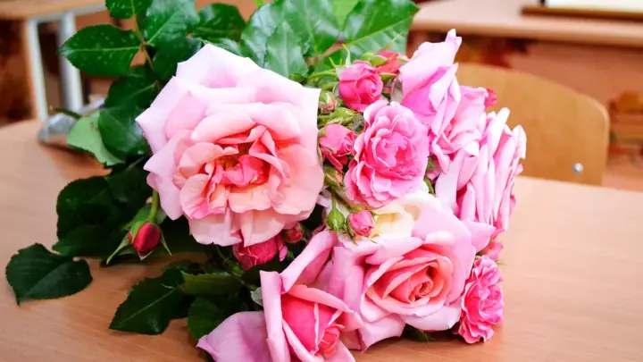 Мошенники придумали ловушку с подарком на день рождения: как не стать жертвой