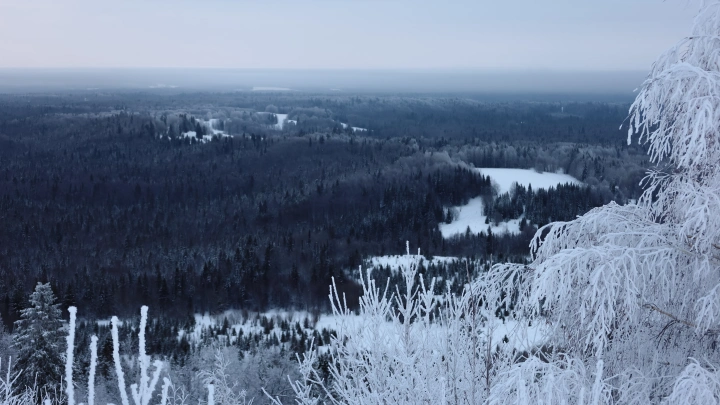 Побег или преступление? Почему следствие скрывает данные о пропавшей семье Усольцевых
