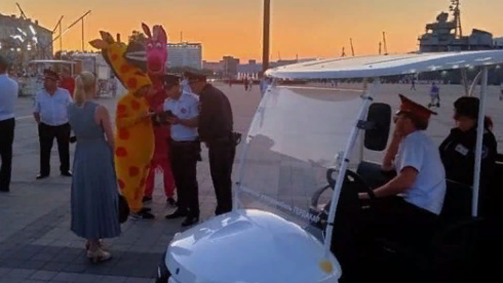 В Новороссийске задержали аниматоров-вымогателей в костюмах коней