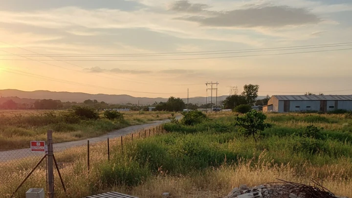 В Подмосковье сдали в аренду 36 гектаров госземли