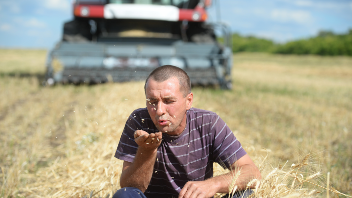 «Придётся вводить продуктовые карточки»: На Украине вслед за «бунтом нардепов начнётся «бунт аграриев» «Придётся вводить продуктовые карточки»: На Украине вслед за «бунтом нардепов начнётся «бунт аграриев»