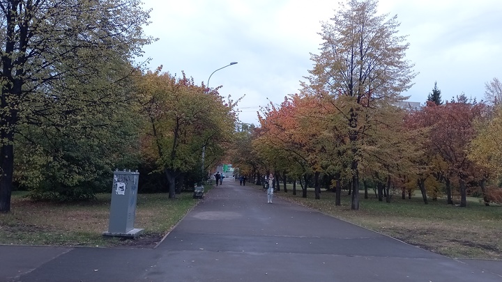 Синоптики рассказали, когда в Свердловской области закончится Бабье лето
