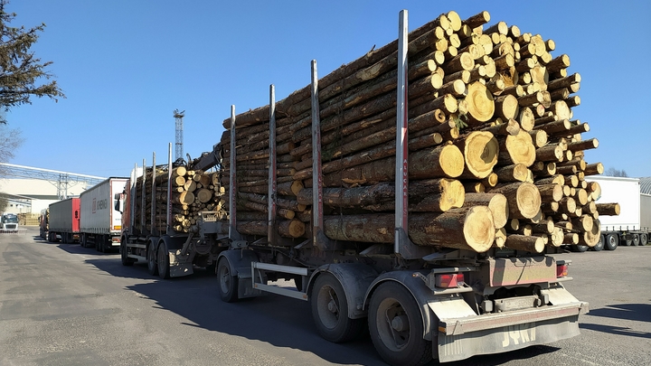 Собянин рассказал о развитии промышленности благодаря городской поддержке инвесторов