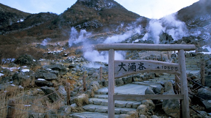 Япония хочет мира с Россией. Чтобы забрать Курилы и выжить