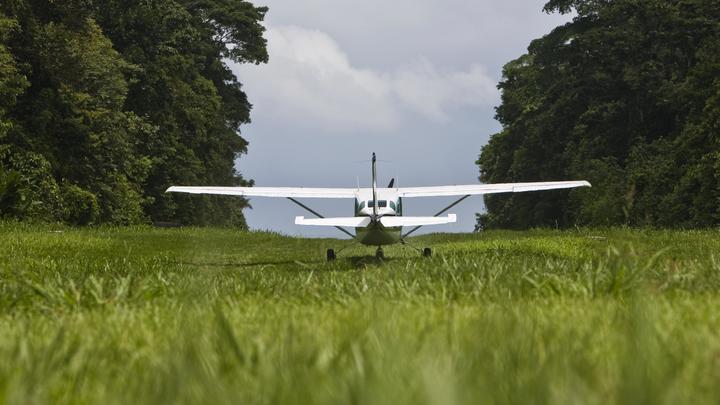 Четверо детей выжили 16 дней в джунглях Колумбии после крушения самолета: подростки спасли младенца