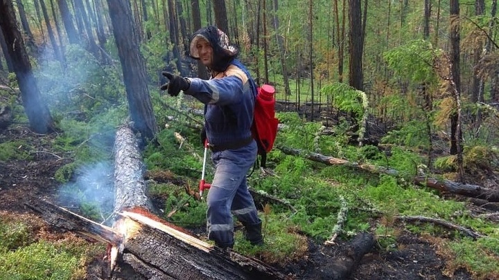 В лес ни шагу: До конца августа в Ростовской области продлён запрет на посещение лесах