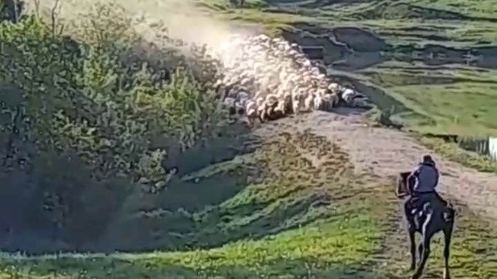Фекалии затопили улицу и кладбище в кузбасском поселке