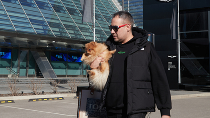 Цифры доброты. Русские признались в любви к братьям нашим меньшим