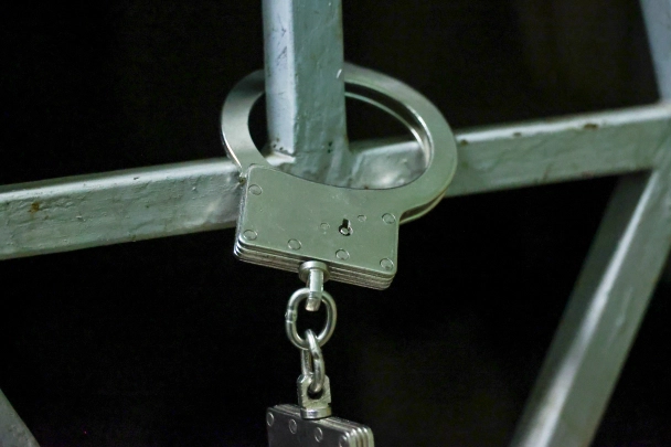 Главу Фонда капремонта Подмосковья Николова могут выпустить из СИЗО
