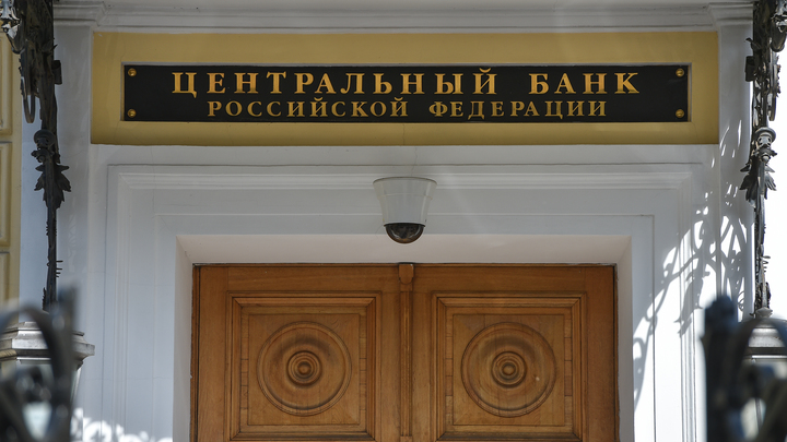 Сенатор Климов предложил простую вещь Центробанку: На меня посмотрели как на идиота