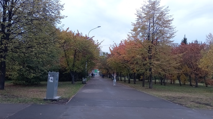 Свердловскую область ждёт самый тёплый день сентября