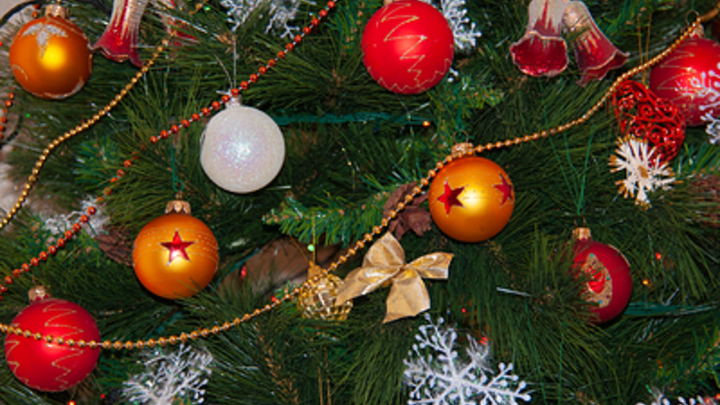 Врач: Отруби помогут подготовиться к испытанию новогодним застольем