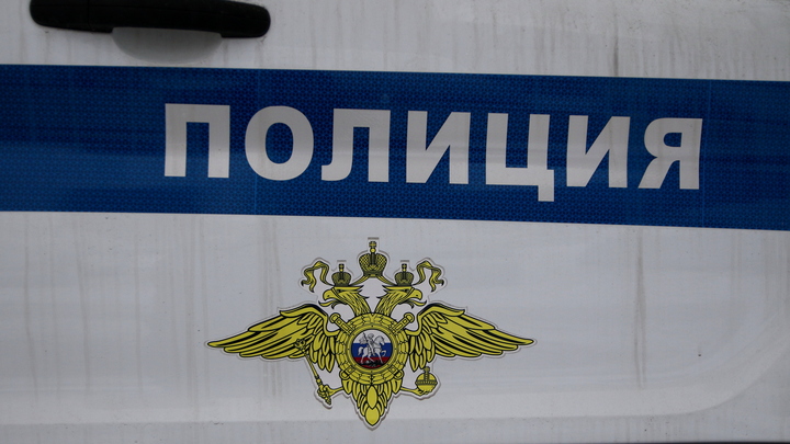 Полиция проводит проверку по драке трех школьниц в парке в Самарской области