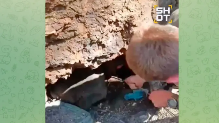 Год под землёй без еды и воды: русские разведчики спасли из норы бойца ВСУ