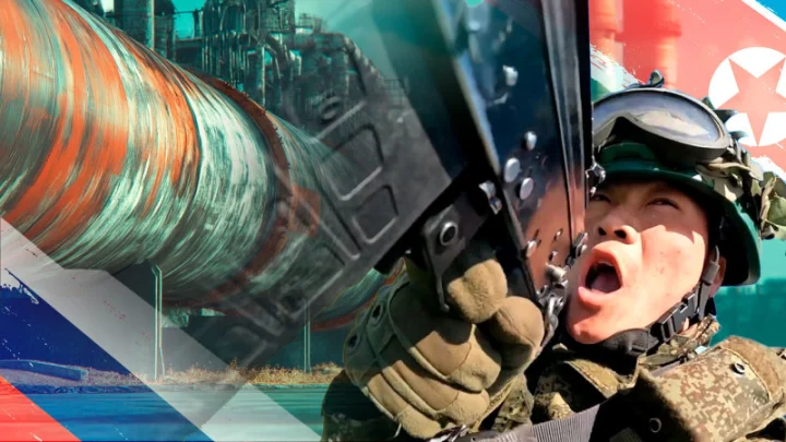 Главное к вечеру 26 ноября. Львы Кима под Запорожьем. Найден след Усольцевых? Новая афера в Оборонстрое. Правда с фронта от офицера ВСУ