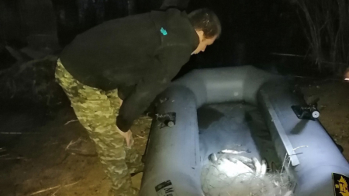 Браконьера, промышлявшего незаконной ловлей рыбы на сети, обезвредили в Самарской области