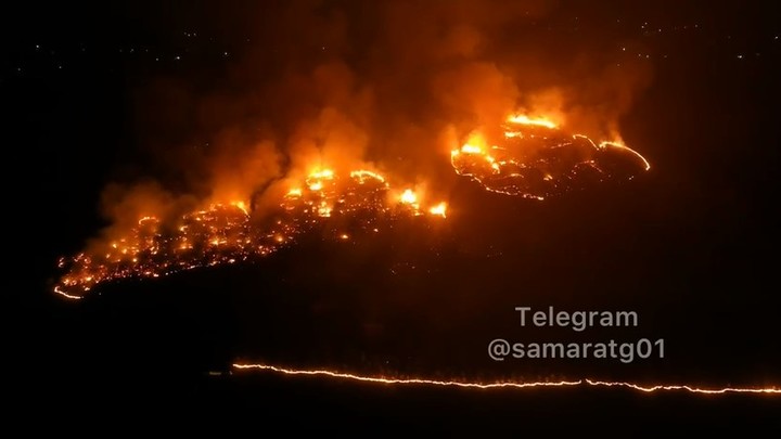 Последние данные оперштаба о лесных пожарах: в Самарской области сгорело более 5000 га