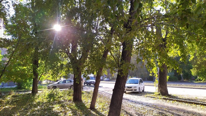 В ближайшие три дня в Новосибирске потеплеет до +20 градусов