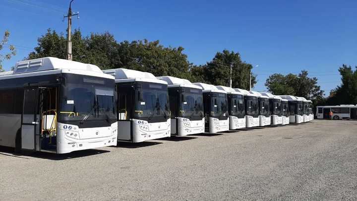 30 курганских автобусов отправились возить туристов на полуострове