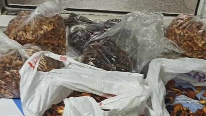 Наркотики в сухофруктах привёз таксист: челябинка рассказала, как они попали в колонию