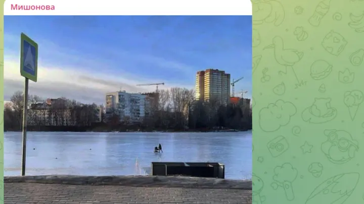 Детский омбудсмен оценила видео родителей с колясками на льду в Подмосковье