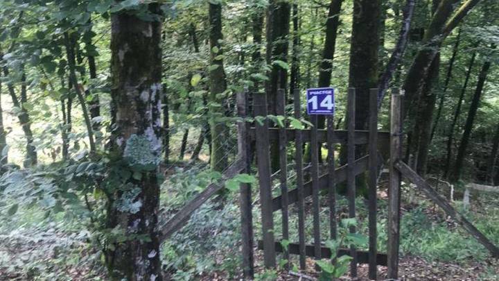 Часть земель Нацпарка Сочи похитили