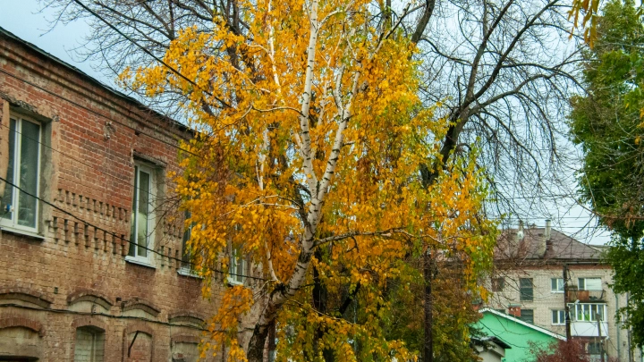 Юрист Манджиева рассказала, как без страха покупать жильё у пенсионеров