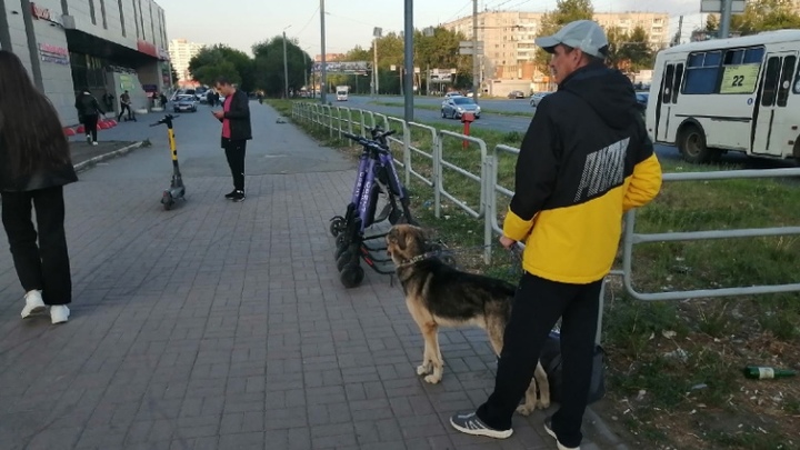 Облава на самокаты: в Челябинске за сутки задержали 8 нарушителей ПДД