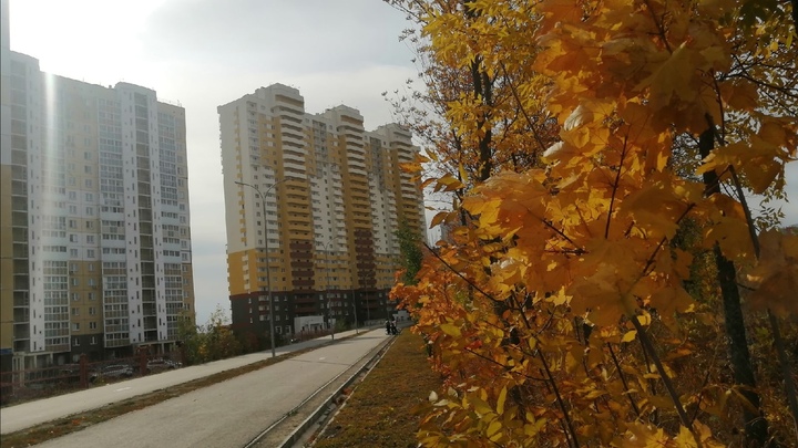 Заморозки в Челябинской области сменит потепление, но потом пойдет снег