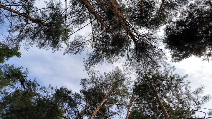 В пермском парке заметили извращенца, удовлетворявшего себя, глядя на детей