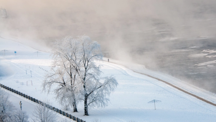 Морозы придут в феврале? Синоптик Шувалов об аномалиях погоды: Из Скандинавии в Россию придёт антициклон