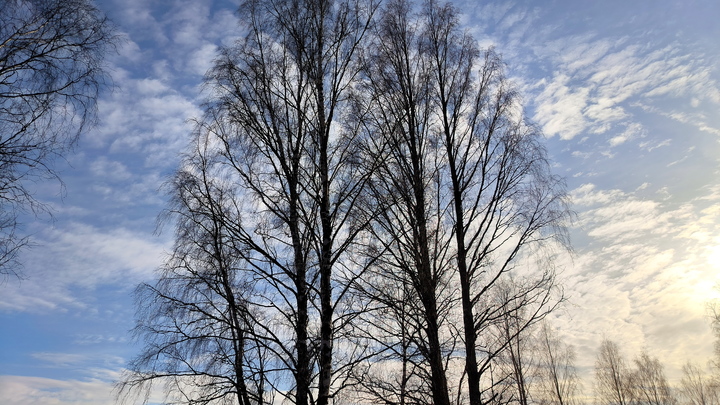 Залог весенней бодрости: Пять шагов к хорошему самочувствию