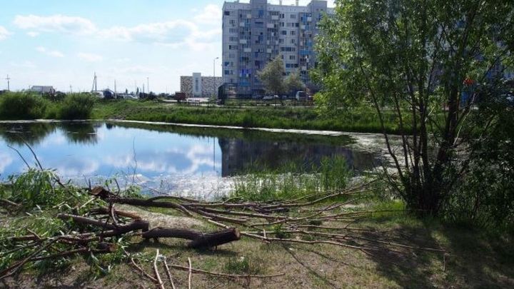 В Челябинске на пустыре вокруг пруда сделают сквер