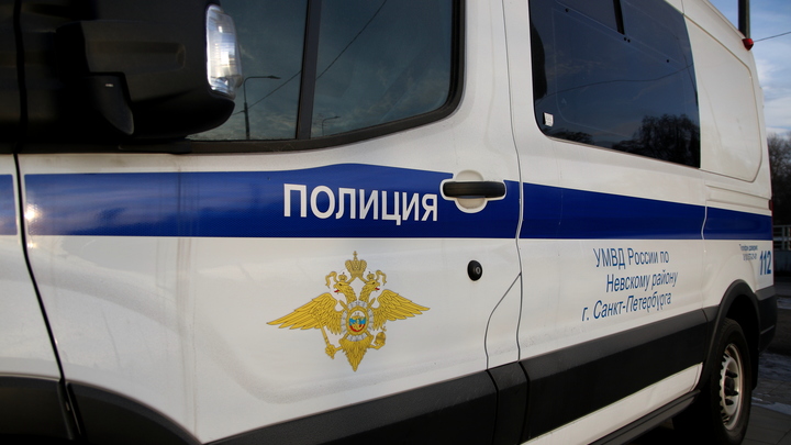 Жительница Петербурга не смогла спрятать от полиции 5 килограммов наркотиков