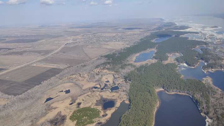Караканскому бору могут присвоить природоохранный статус