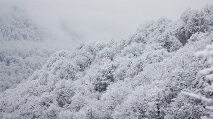 В горах Сочи ограничили проезд автомобилей из-за сильного снегопада