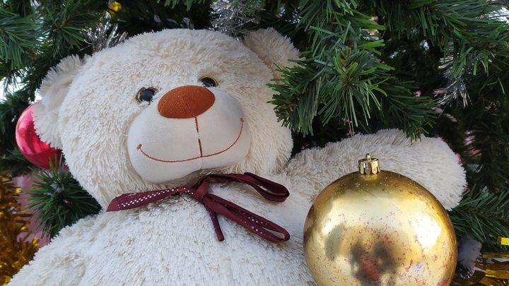 Как москвичам принять участие в благотворительной акции «Исполни желание»