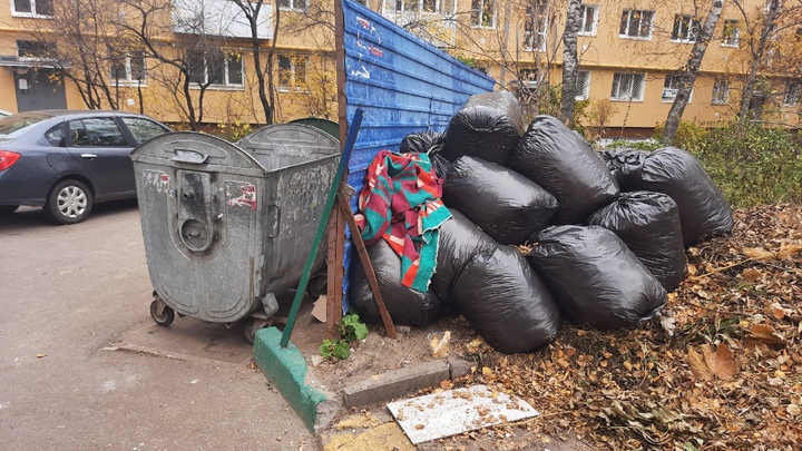 Свалку упаковок из-под яиц нашли горожане в лесу на Дубравной в Нижнем Новгороде